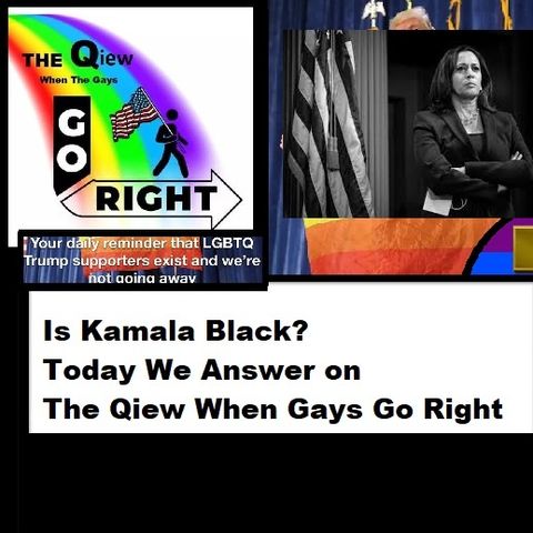 Is Kamala Black Today We Answer on The Qiew when Gays Go Right