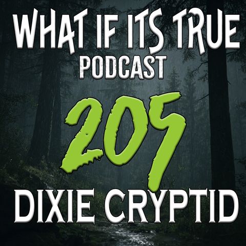 Archive 205 Bigfoot Encounters