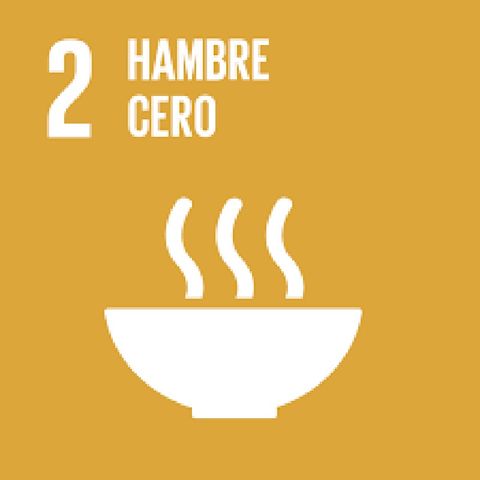 La Huerta Como Desarrollo Sostenible Para Acabar El Hambre Cero