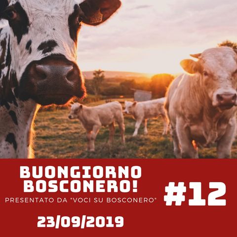 Buongiorno Bosconero #12 - Speciale Fiera Agricola