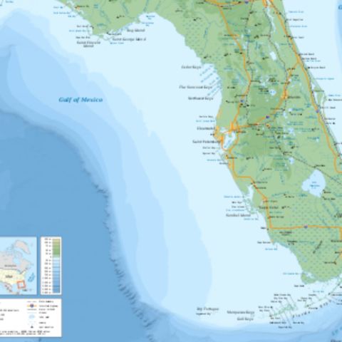 Florida Thoughts