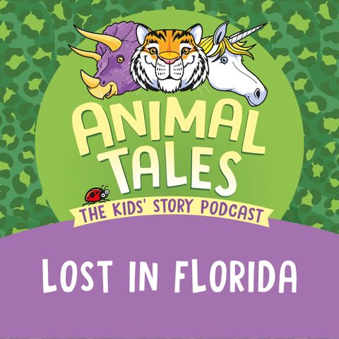 Lost In Florida
