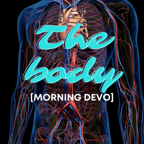 The Body [Morning Devo]