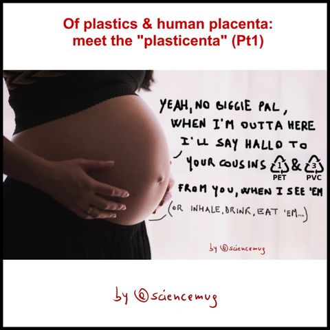 Of plastics & human placenta: meet the "plasticenta" (Pt1)