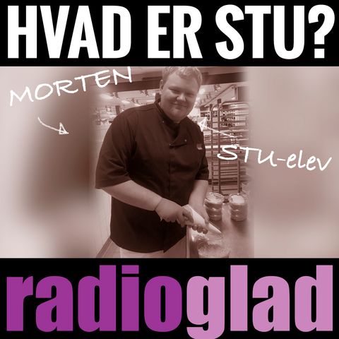 Hvad er STU?