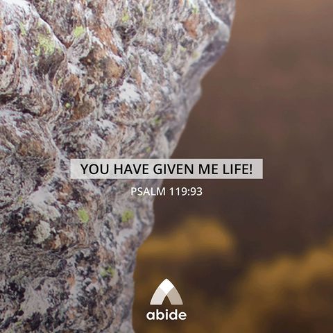 God's Precepts