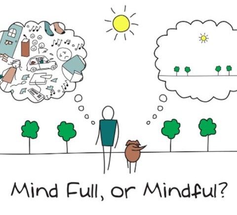 La Mindfulness