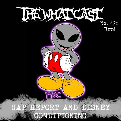 The What Cast #420BRO! - UAP Report and Disney Conditioning