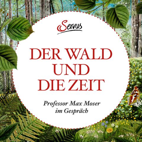 Kinder, ab in den Wald! Autor Max Moser im Gespräch - Bonus #64