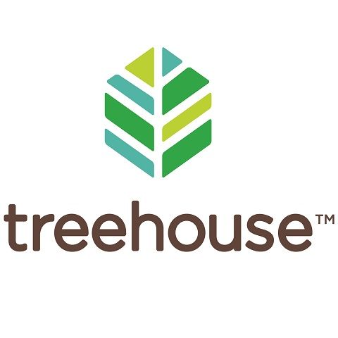 Treehouse for Kids