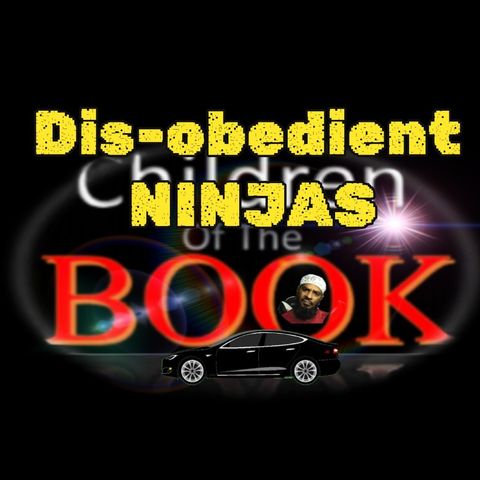 Dis-obedient Ninjas