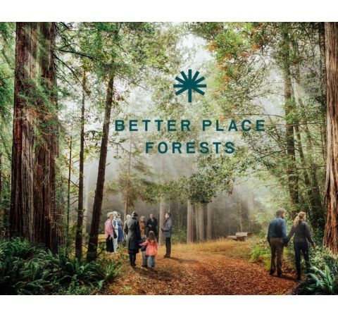 S9:E5 - BETTER PLACE FORESTS || SANDY GIBSON