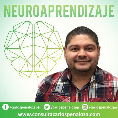 #1 - El cerebro, el órgano del neuroaprendizaje