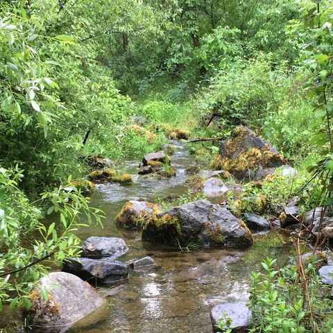 Relaxation Sounds of Bear Creek in Medford Oregon