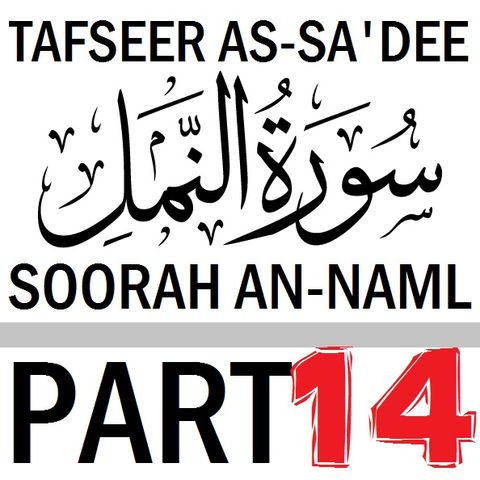 Soorah an-Naml Part 14 (Verses 87-93)