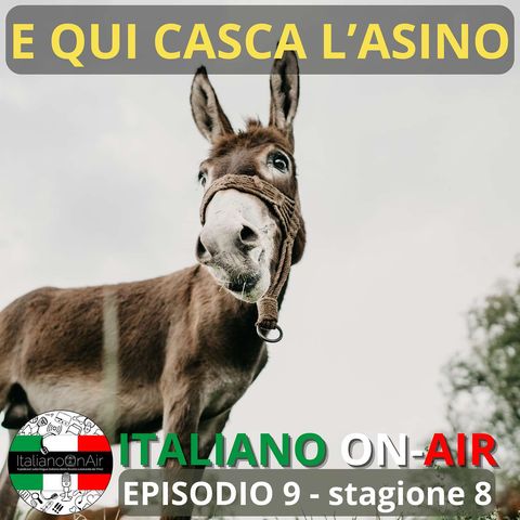 E qui casca l'asino - Episodio 9 (stagione 8)