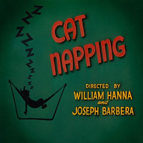 62. Cat Napping