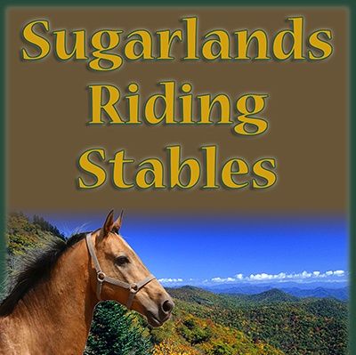 Around the World: Interview with Kenny @ Sugarland Stables