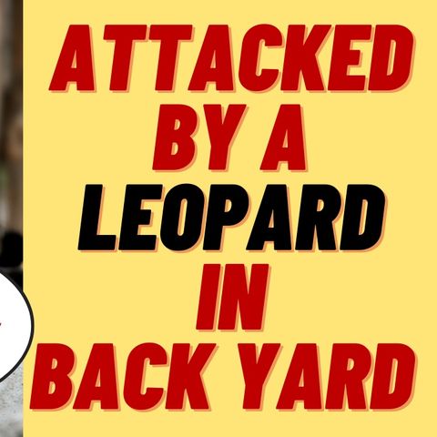 MAN PAYS $150 TO PLAY WITH BLACK LEOPARD - GETS MAULED