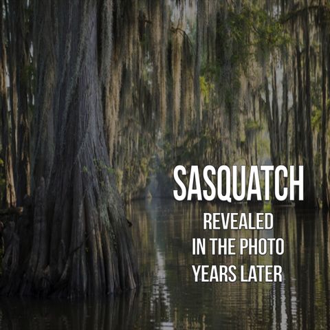 Sasquatch Revealed in the Photo Years Later