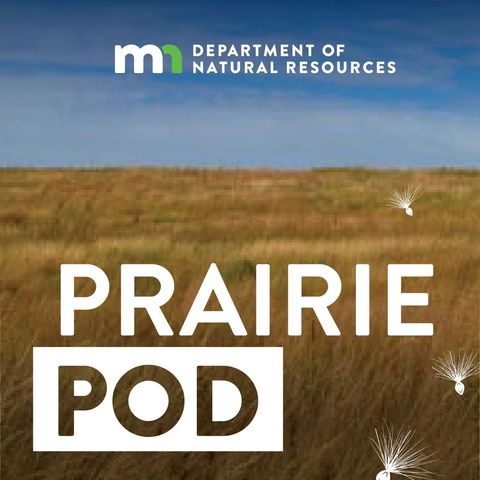 These are a few of our favorite things—about prairie!
