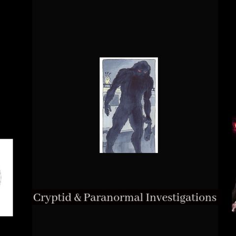 Cryptid Creatures, UFO's and Silver man, Mysterious Tales from the East Coast of Scotland. Part 2