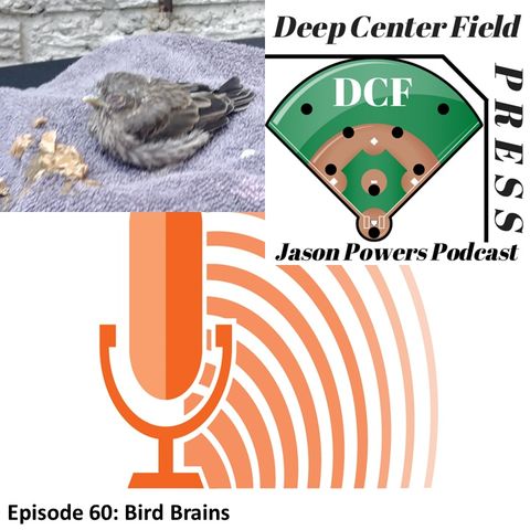 Episode 60: Bird Brains