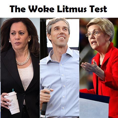 Woke Litmus Test