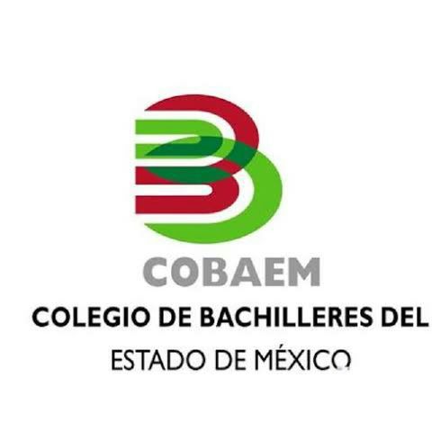 Ventajas Del Cobaem