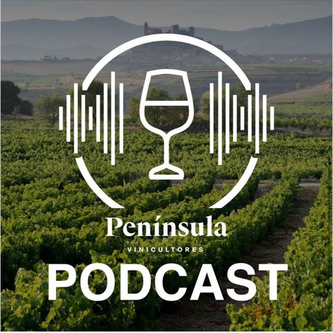 Capítulo 1. Transparencia en el mundo del vino. Una conversación entre Andreas Kubach MW, Tao Platon y Juancho Asenjo.