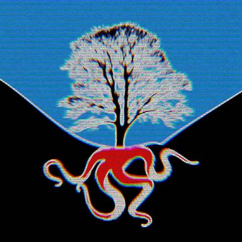 3.10 - Roots (Part I)