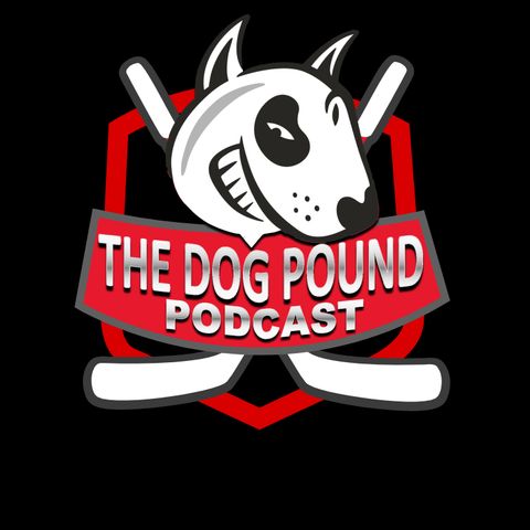 Dog Pound Niagara IceDogs Podcast: Home Game Analysis/post-game audio vs LDN, OS, Playoff Standings Update, Team News/Injury Update
