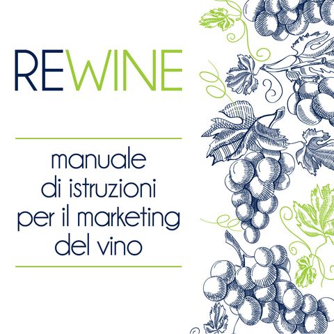 Intro. Serviva un audio manuale d'istruzioni di marketing del vino? Ma soprattuto perchè Re-Wine?