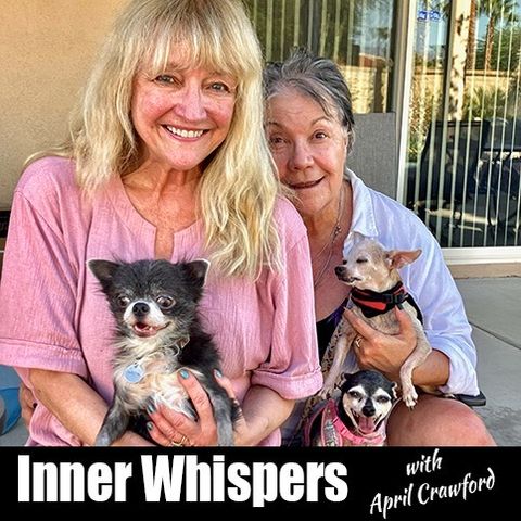 Inner Whispers - Episode 327 - 11/12/24