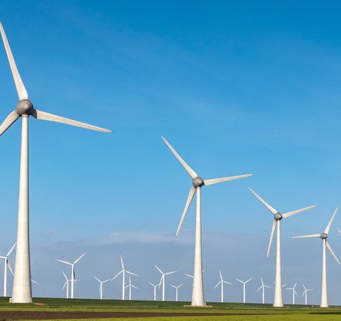 Windmill Conspiracy -