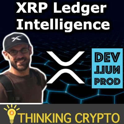 Interview: Dev Null Productions CEO - Bitcoin IOUs & Collaterized Assets on XRP Ledger - XRP Ethereum Bridge - NYC XRP Meetups