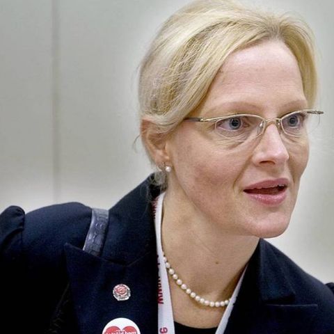 Helene Fritzon ljuger om Ungern och skämmer ut Sverige