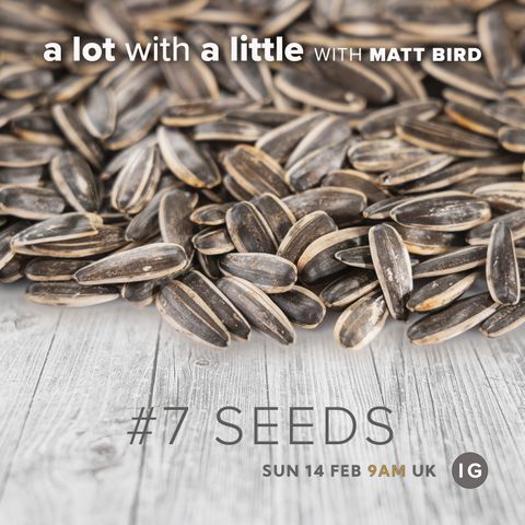 A Lot With A Little #7: SEEDS - growth through small beginnings with enormous potential