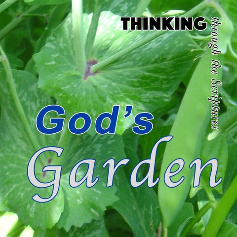 God's Garden (TTTS#13)