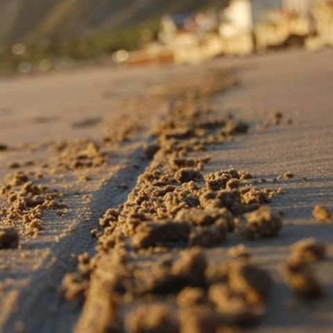 Episode 813 | A Line In The Sand. #NeverBloomberg