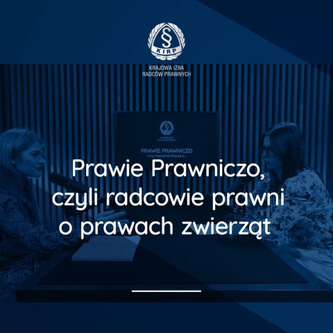 Prawie prawniczo, czyli radcowie prawni o prawach zwierząt