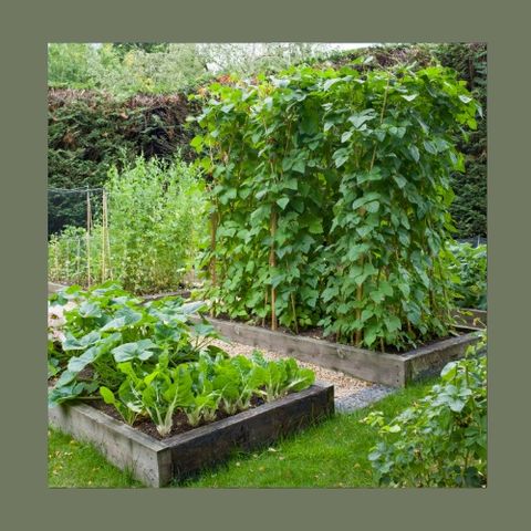 #121 Come coltivare Amore in Giardino