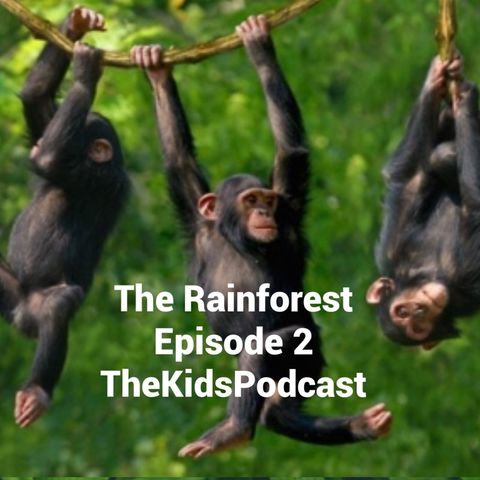 Episode 2: The Radical Rainforest