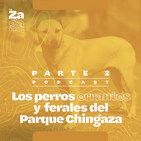 Ep 2: Los perros errantes y ferales del Parque Chingaza