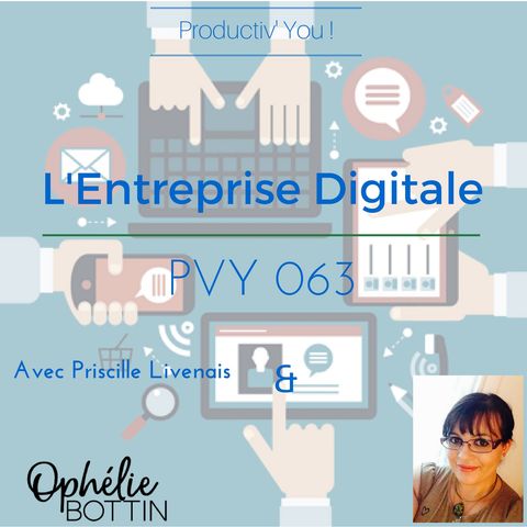 PVY063 Entreprise Digitale