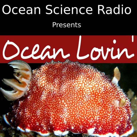 Ocean Lovin 2021 - The Sex Lives of Nudibranchs