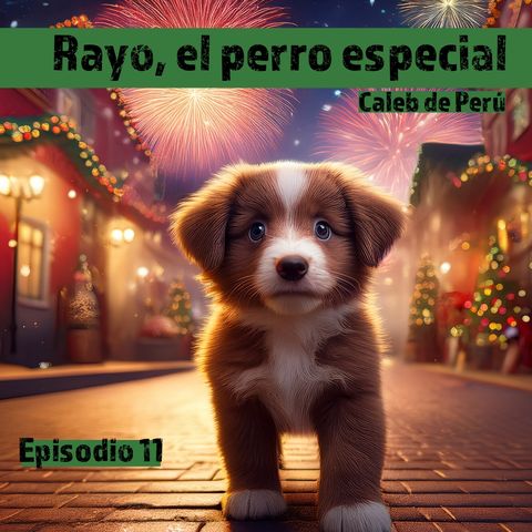 Cuento infantil: Rayo, el perro especial - Temporada 23 - Episodio 11