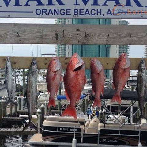 Fort Morgan Offshore Fishing