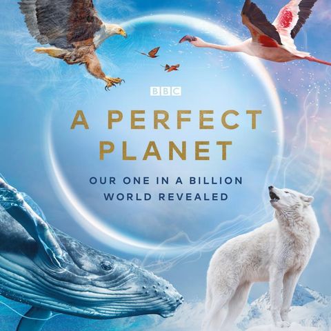 Alastair Fothergill and Huw Cordey From A Perfect Planet On Discovery+