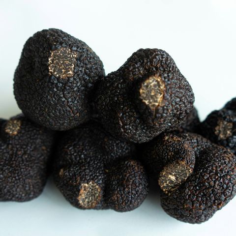 Asta del Tartufo Bianco d’Alba: il lotto top va a Hong Kong per 110mila euro